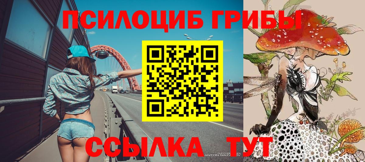Галлюциногенные грибы Psilocybine cubensis Элиста